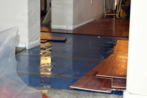 Professional Water Damage Repair technician working in Russia, OH